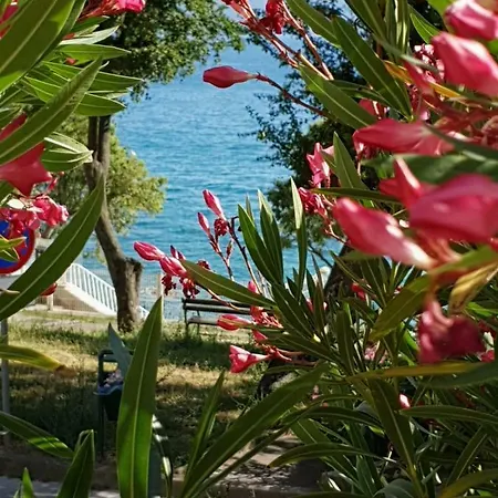 D&m 2 Apartament Selce