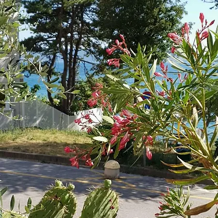 D&m 2 Apartament *